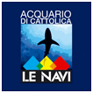 le navi