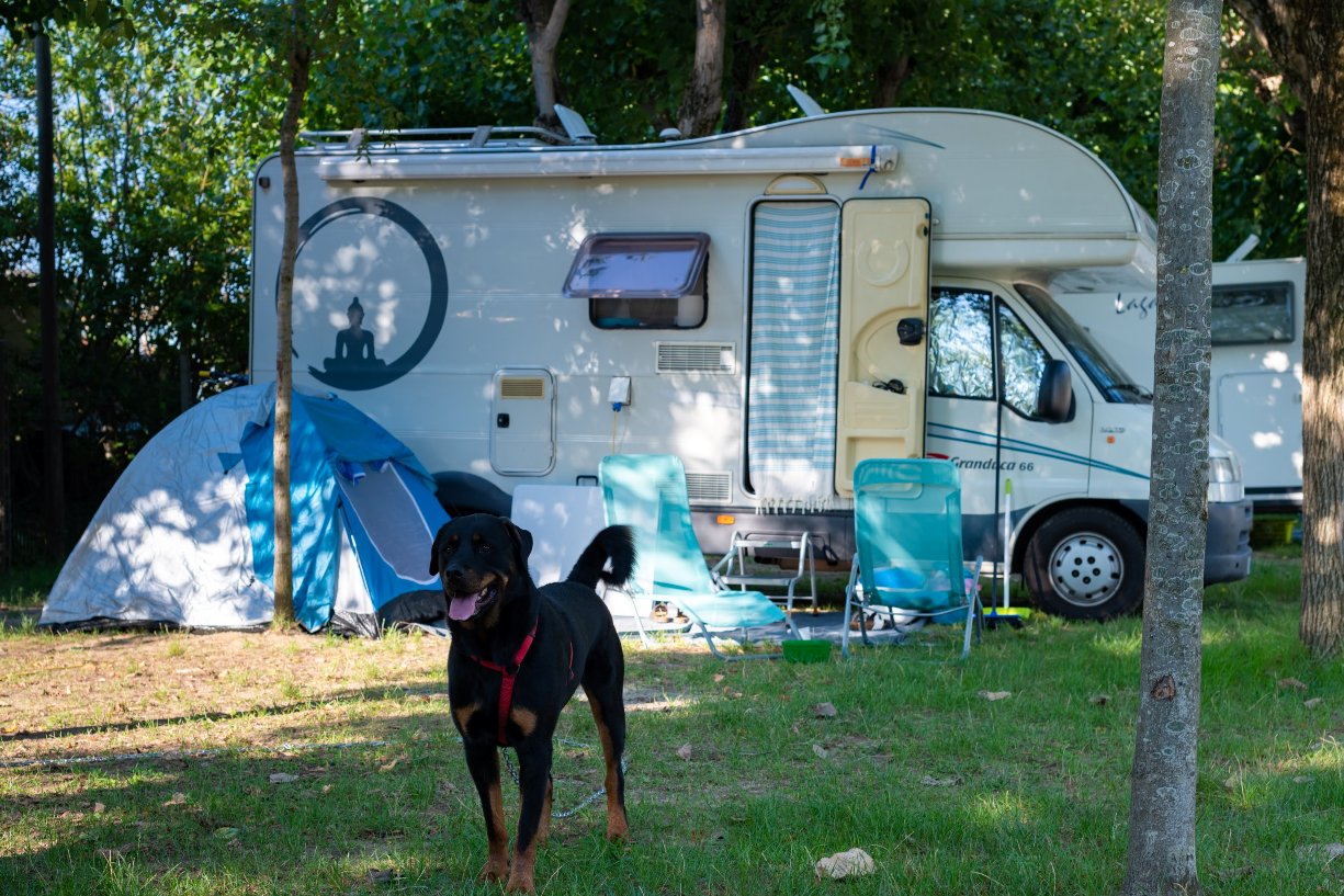 Camping Village in Romagna Dog Friendly Camping & Natura